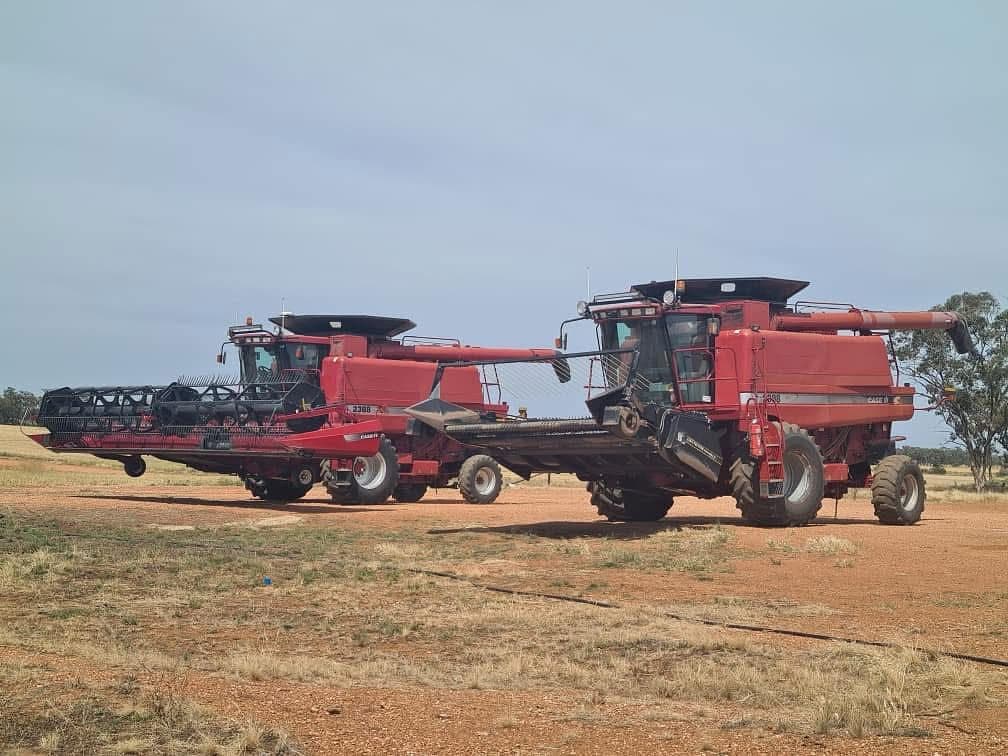 Pair of Case IH combines